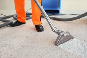 Cleaning service concept. Dry cleaner's employee removing dirt from carpet in flat, closeup